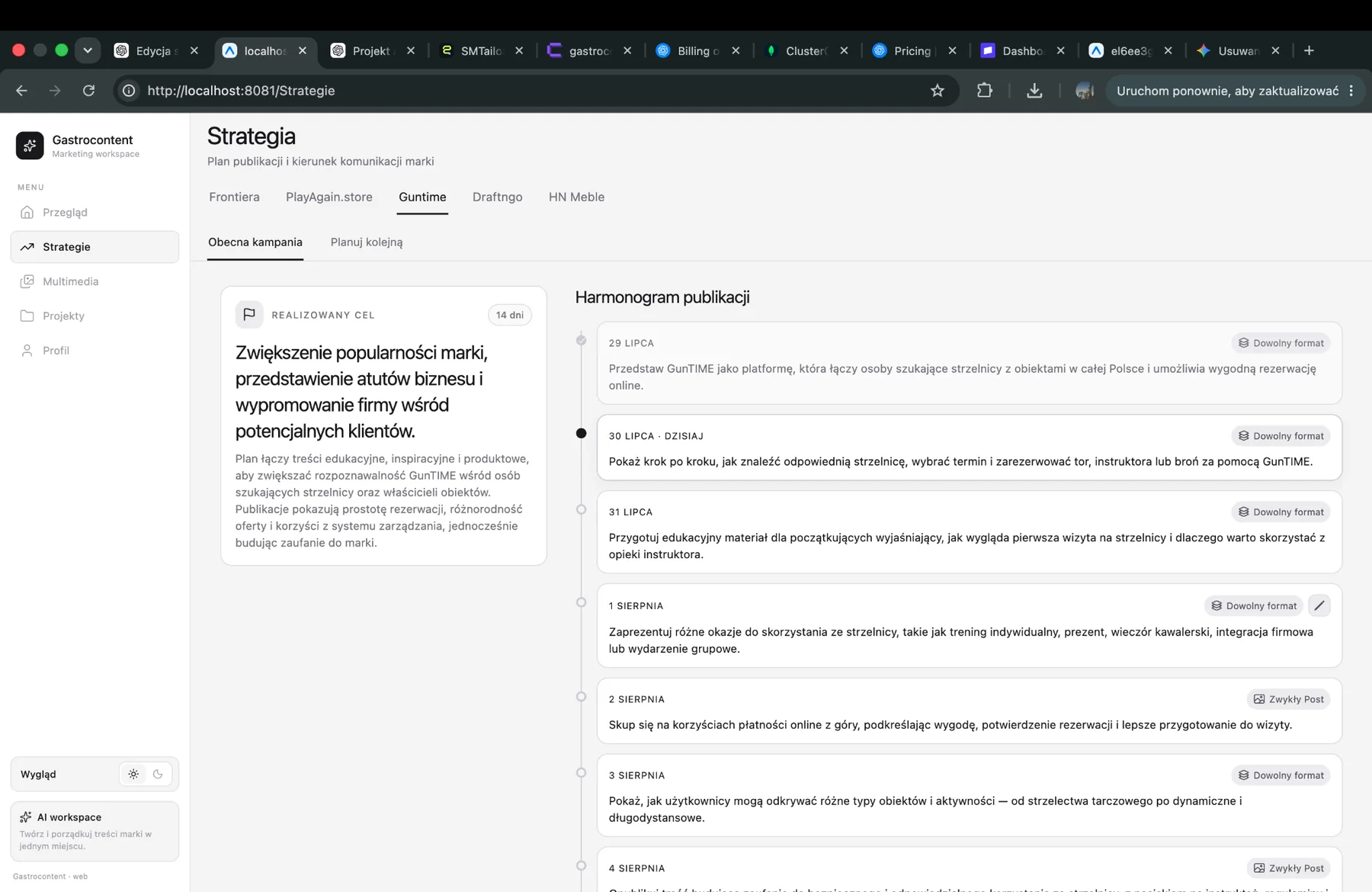 Widok strategii i harmonogramu publikacji w SMTailor